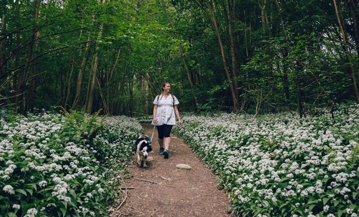 Walking at Boncyn Foel Bach, Clocaenog Forest